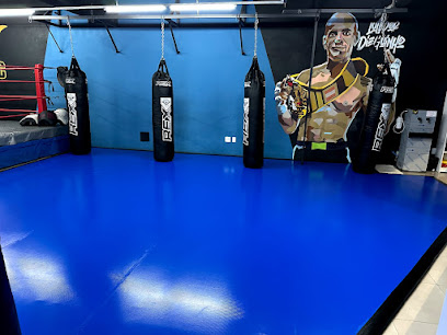 Academia de Lutas União ABC