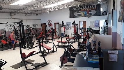 Idea Muscle