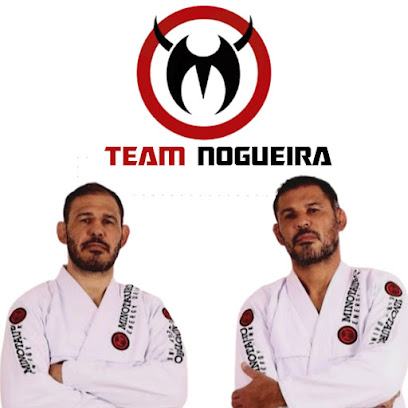 Academia Team Nogueira Escola de Lutas