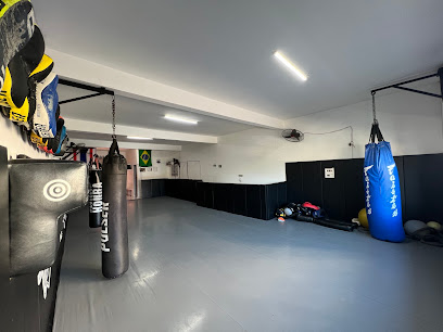 Cuts & Fights
