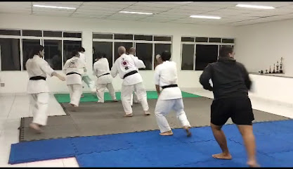 Karate Estilo Shidokan