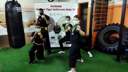 Dragon Tiger DKF Kung Fu