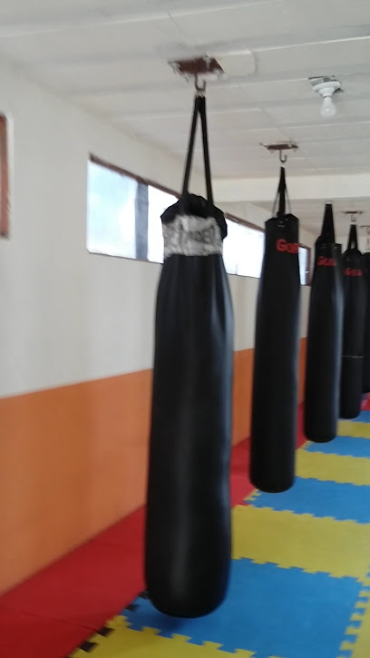 Centro de Treinamento Monster Gold Team
