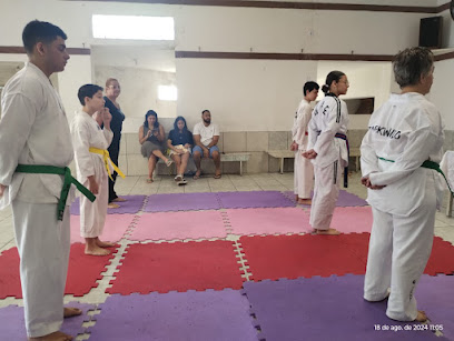 Taekwondo Furyo Fight