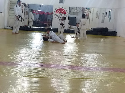 Associação de Judô Hinodê