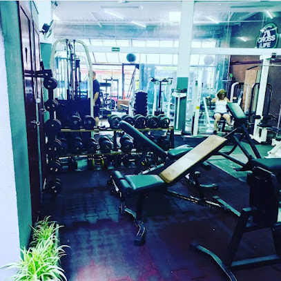 Academia Art Fitness