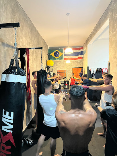 MatCaverna - Fight Gym