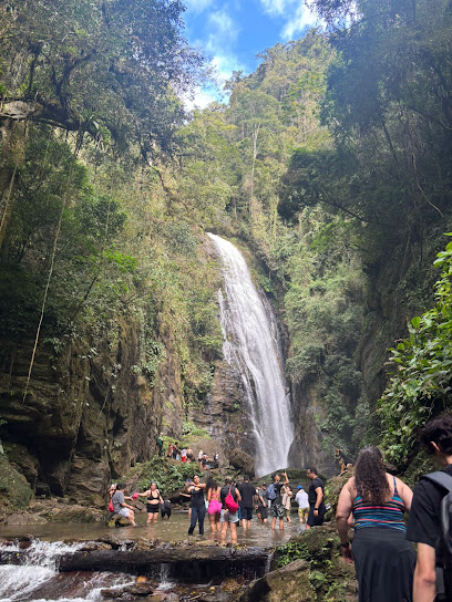 Novos Destinos Passeios & Viagens