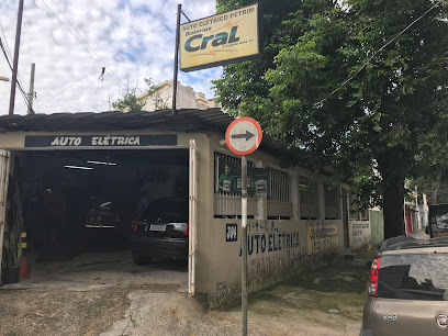 Auto Elétrico Petrim (Japa Henrique)