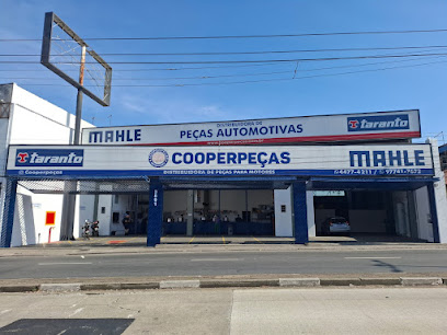 Cooperpeças Distribuidora de peças para Motores Ltda