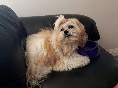 Paco & Sua Turminha