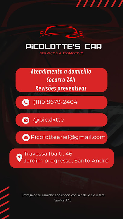 Picolotte's Car